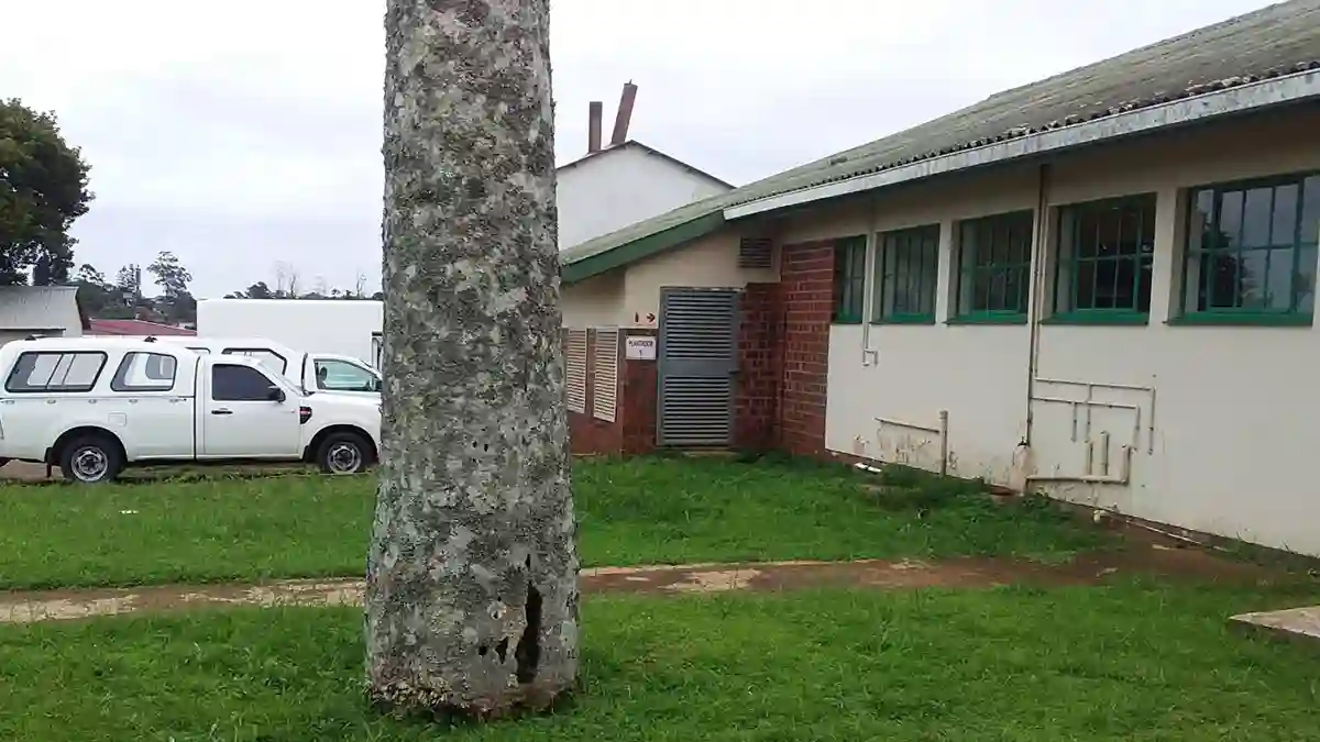 Directions and Parking at Mosvold Hospital